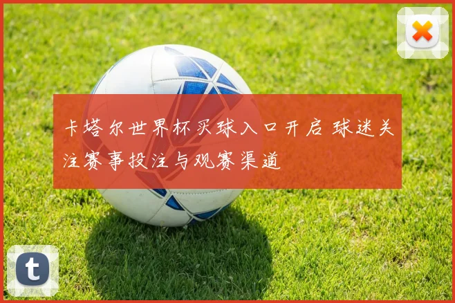 卡塔尔世界杯买球入口开启 球迷关注赛事投注与观赛渠道