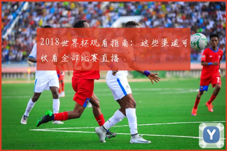 2018世界杯观看指南：这些渠道可收看全部比赛直播